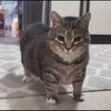 canidae994